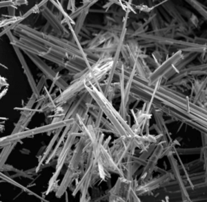 Microscopic view of Asbestos Fibres
