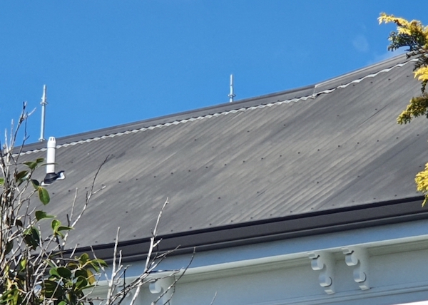 Roof oxidisation nzts